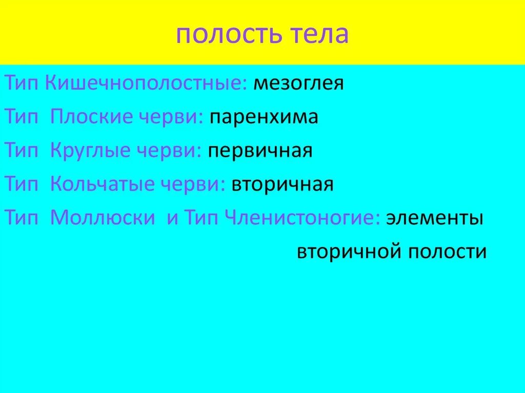 Полости тела таблица. Полость тела 7 класс. Первичная полость тела у животных. Первичная полость тела у червей. Эволюция полостей тела животных