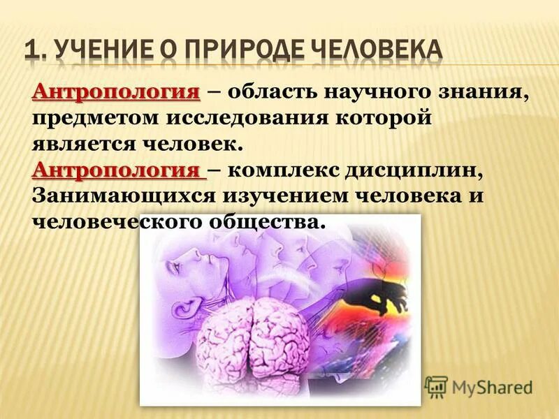 антропология комплекс дисциплин. антропология это наука изучающая. антропология в медицине. виды антропологии. основные факторы расообразования кратко.