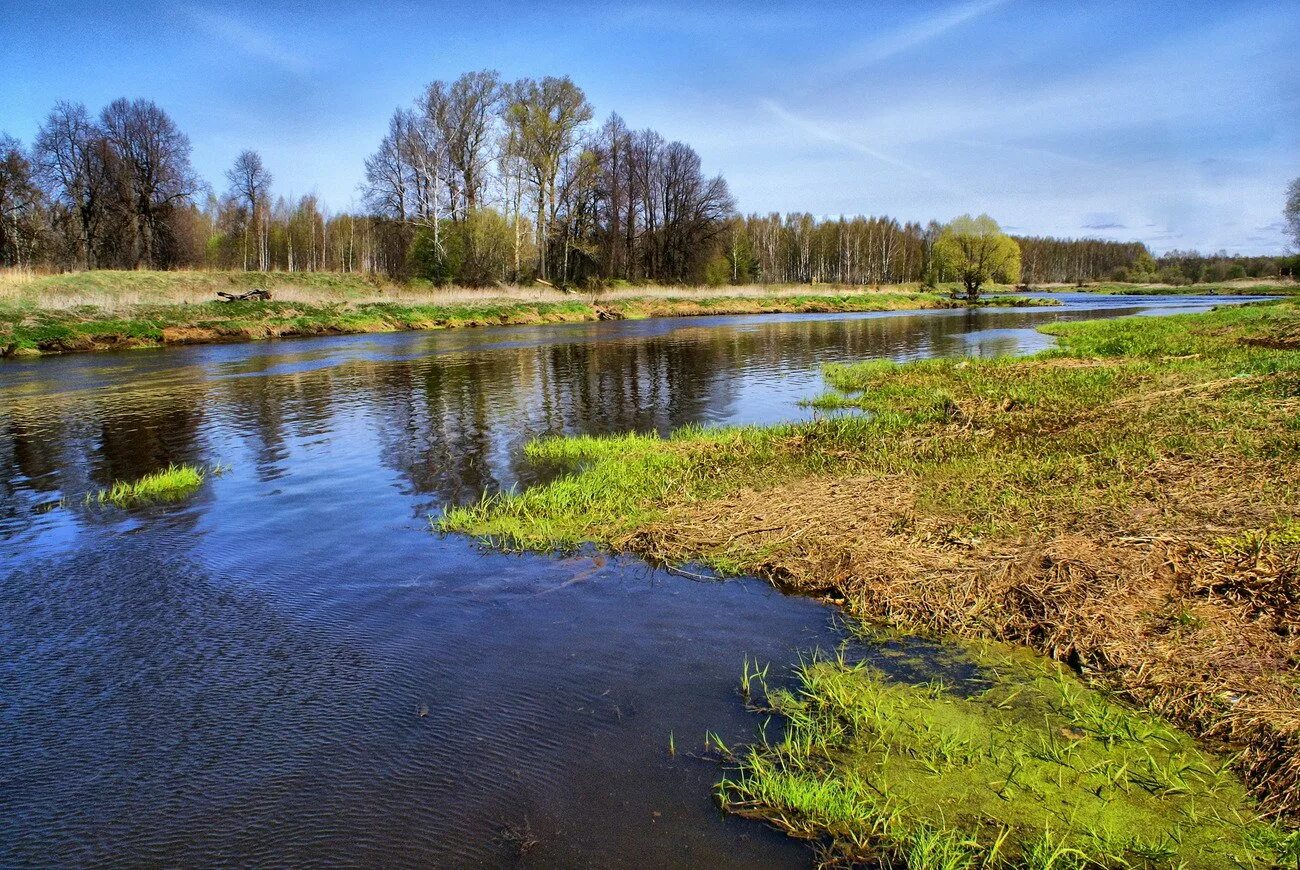 орехово-зуево центр города. реки в лесу в орехово зуево. времена года орехово зуево туры. турбюро орехово-зуево. парк победы орехово-зуево каток.