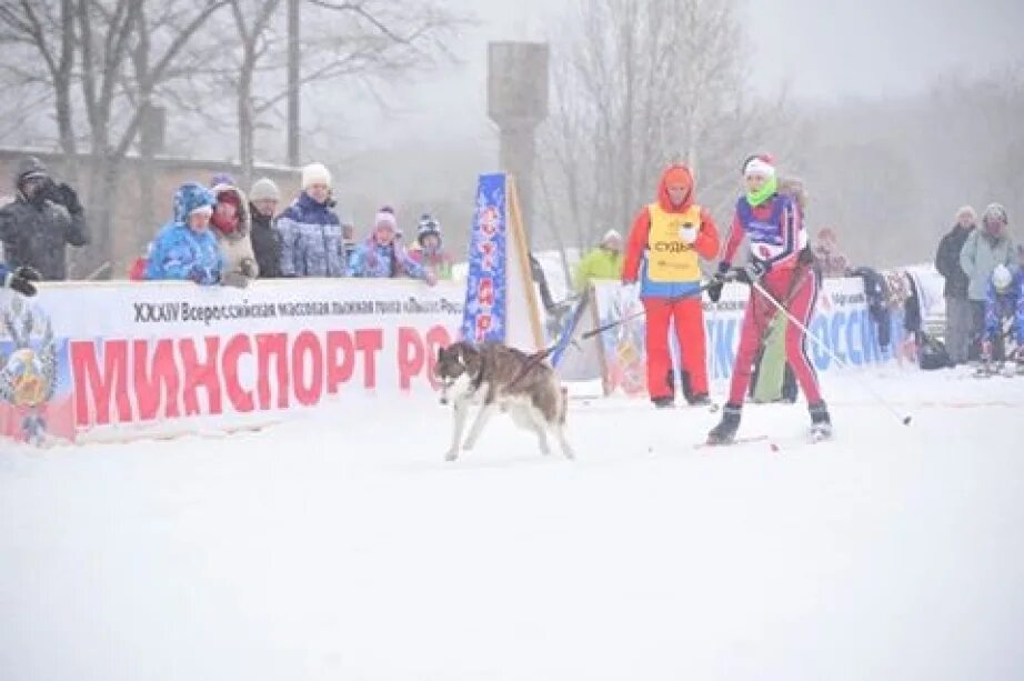 Федерация бильярдного спорта. Спортивные мероприятия в хабаровске. Спорт хабаровского края. Лыжня россии хабаровск. Зимние игры хабаровского края.