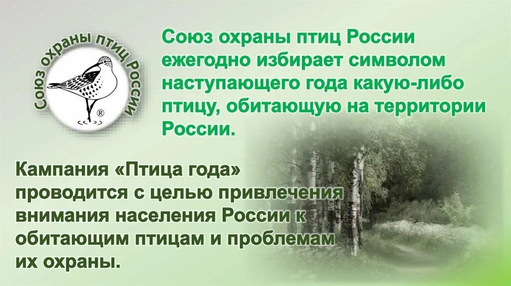 Союз охраны птиц россии птица года 2024. Сопр Союз охраны птиц России. Птица символ Союза охраны птиц России. Птица года 2021 года в России. Союз охраны птиц России эмблема.