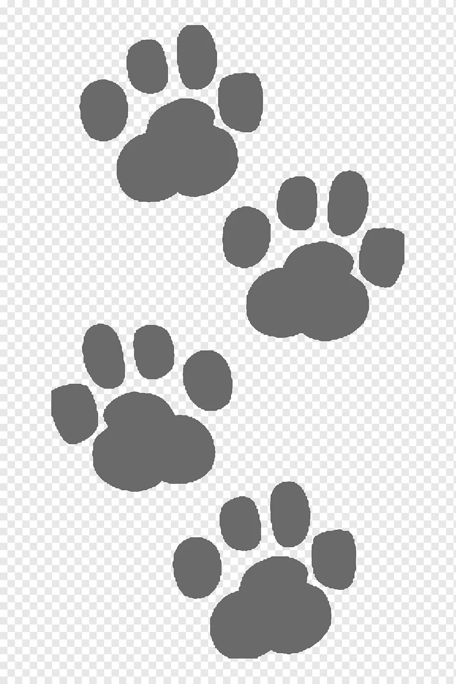 Pet paw. Лапки животных. Отпечаток лапы собаки. Следы кота. Отпечаток кошачьей лапы.