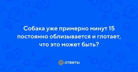 Почему собака постоянно сглатывает
