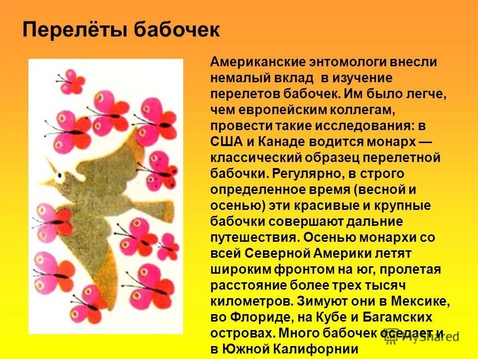 ломоносов михаил васильевич вклад в русский язык.