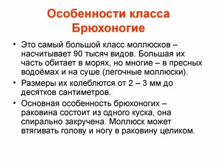 Охарактеризуйте отличительные особенности внешнего строения брюхоногих моллюсков