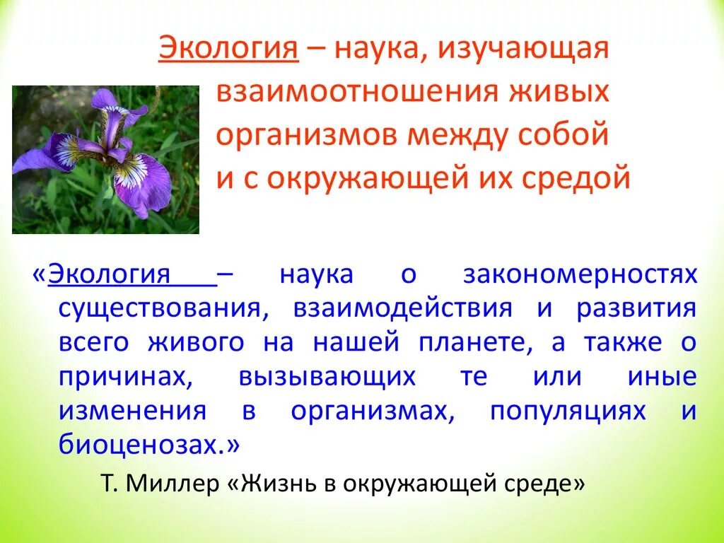 Егэ экология это наука о взаимодействии живых. Экология наука изучающая взаимоотношения. Наука изучающая взаимодействие организмов между собой и с окружающей. Взаимоотношения живых организмов между собой и с окружающей средой. Экология наука изучающая взаимодействие живых организмов.