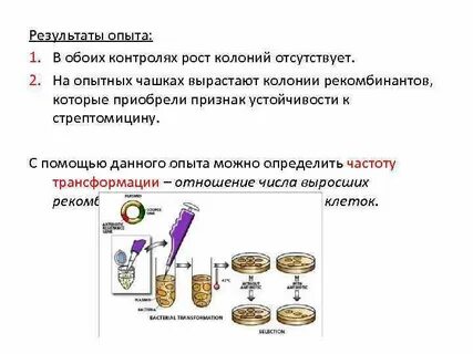 Результатами эксперимента могут быть