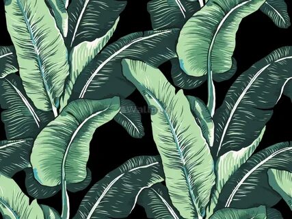 Vintage green banana