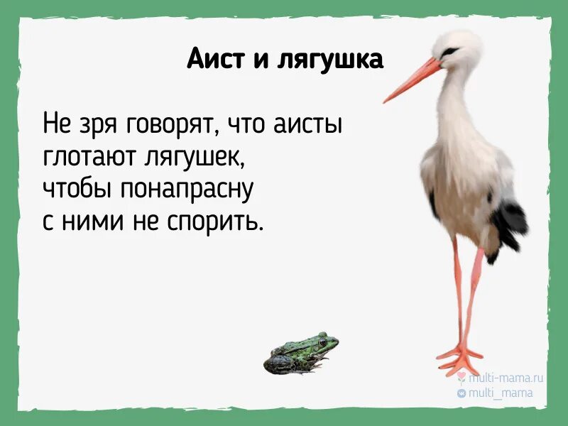 Михалков Аисты и лягушки текст. Басня Аисты и лягушки Михалков. Басня о аисте. Аист и лягушка.