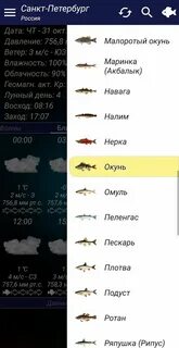 Прогноз клева в балашове