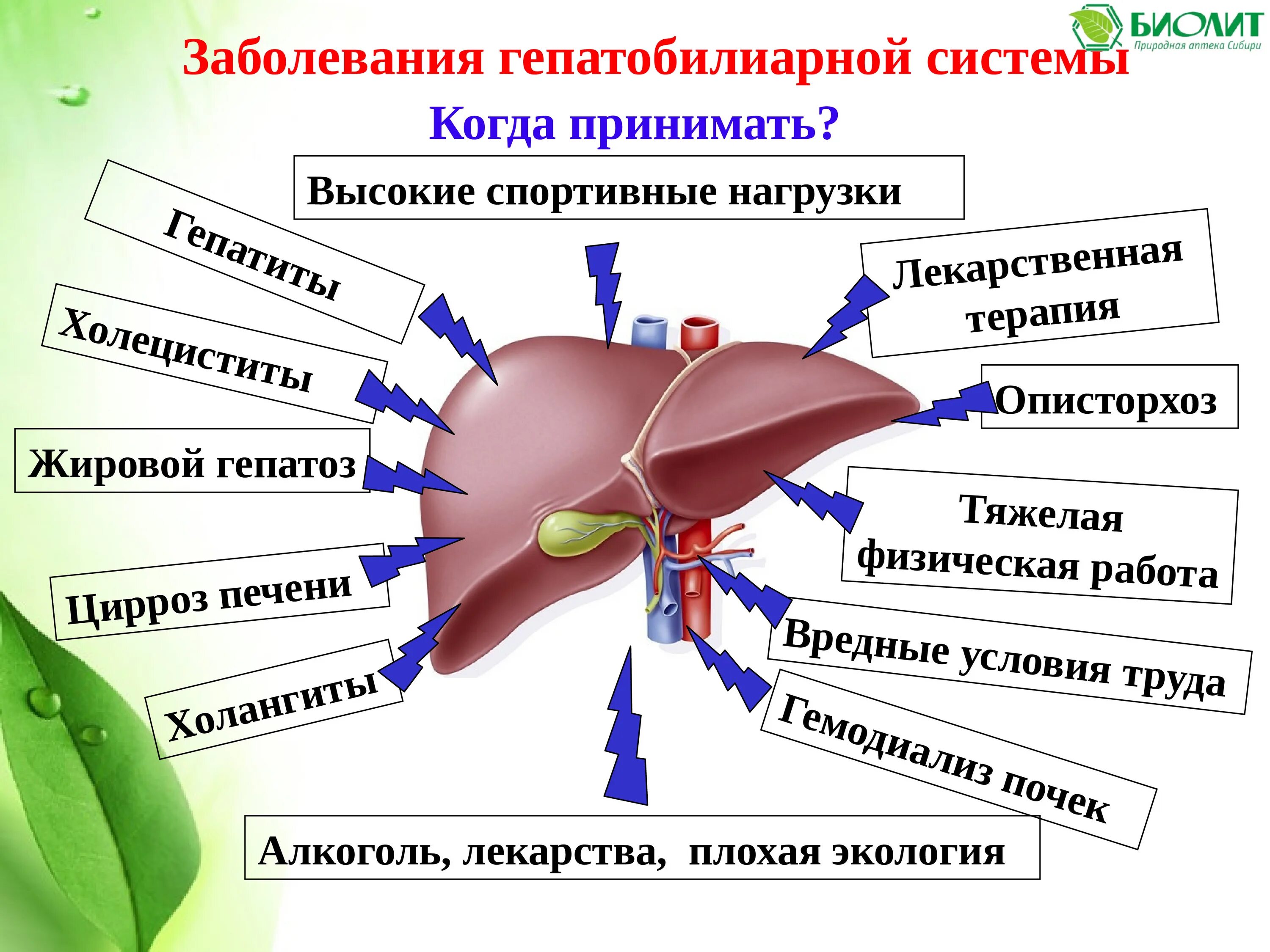 Система для печени. Гепатобилиарная система. Гепатобилиарная система заболевания. Гепатобилиарной патологией. Болезни гепатобилиарной зоны.