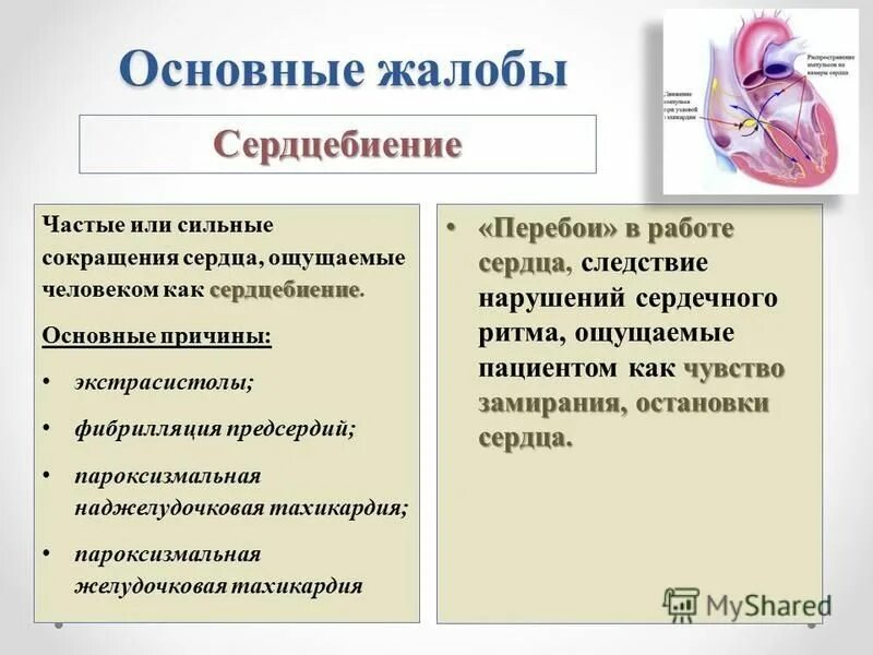 перебои в сердцебиении причины. перебои в работе сердца причины что делать. сердцебиение и перебои в работе сердца. перебои в сердцебиении причины. сердцебиение и перебои в работе сердца.