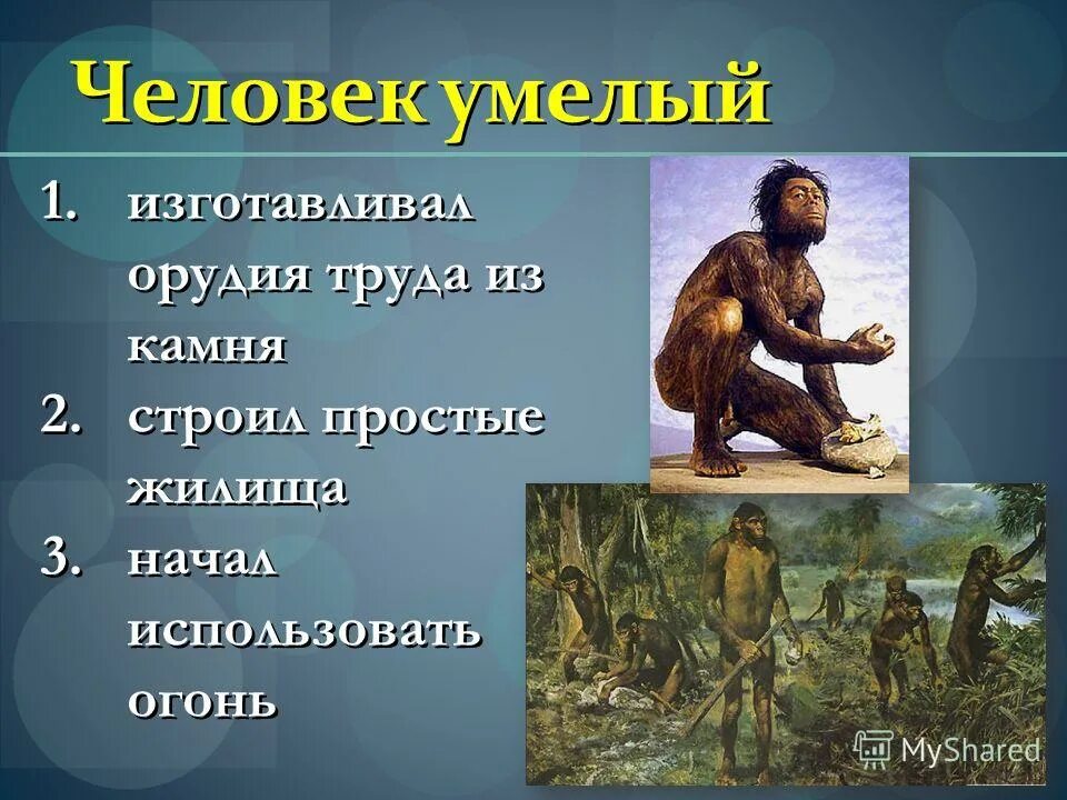 человек умелый и прямоходящий. дриопитеки австралопитеки неандертальцы. дриопитеки австралопитеки неандертальцы. австралопитек неандерталец хомо сапиенс. питекантроп дриопитек.