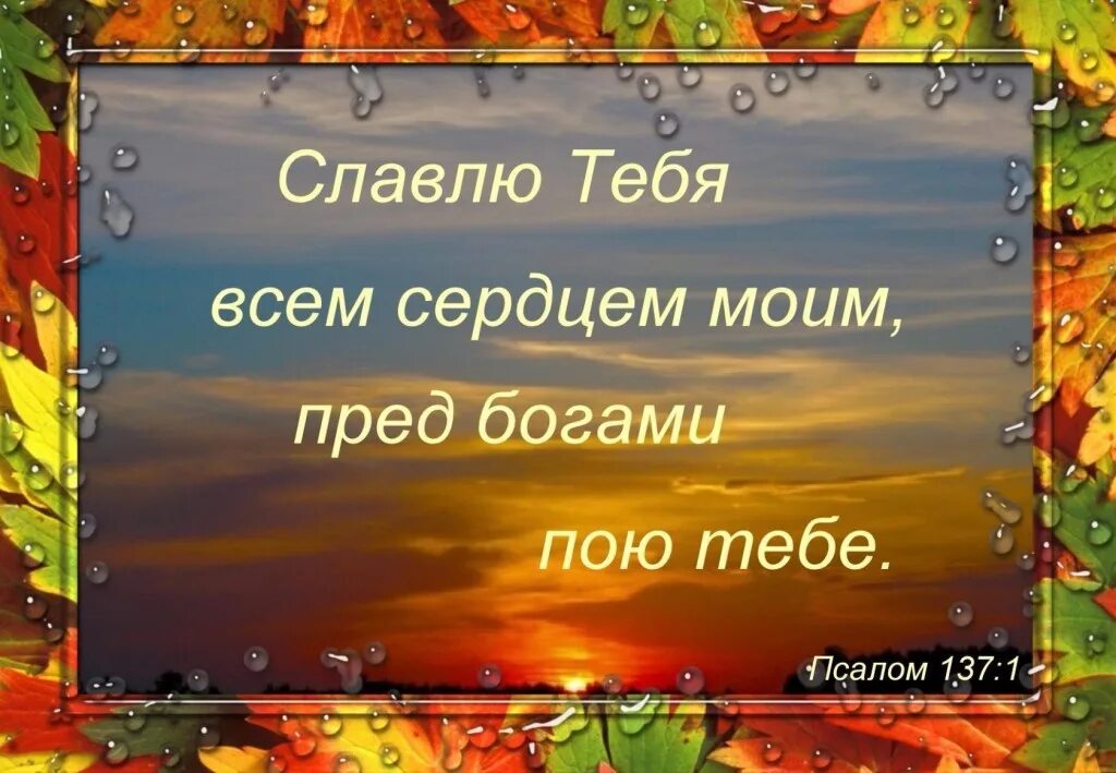 Я хвалу тебе пою. Славлю тебя всем сердцем моим. Славлю тебя. Славим и благодарим Бога за. Библейские стихи.