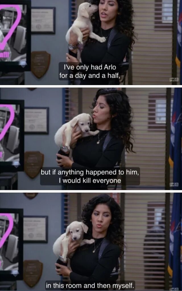 You would have done well if you. I only had for one Day. I only have Arlo for a Day. But if anything happened to him i would Kill everyone. One Day everyone will die.