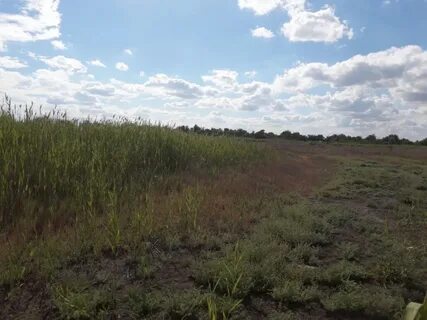 Земельные участки астраханская