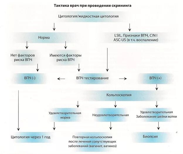 Скрининг-метод для выявления патологии шейки матки. Алгоритм ведения пациенток с дисплазией шейки матки. Скрининговым методом диагностики патологии шейки матки является. Тактика ведения при дисплазии шейки матки. Клинические протоколы ведения