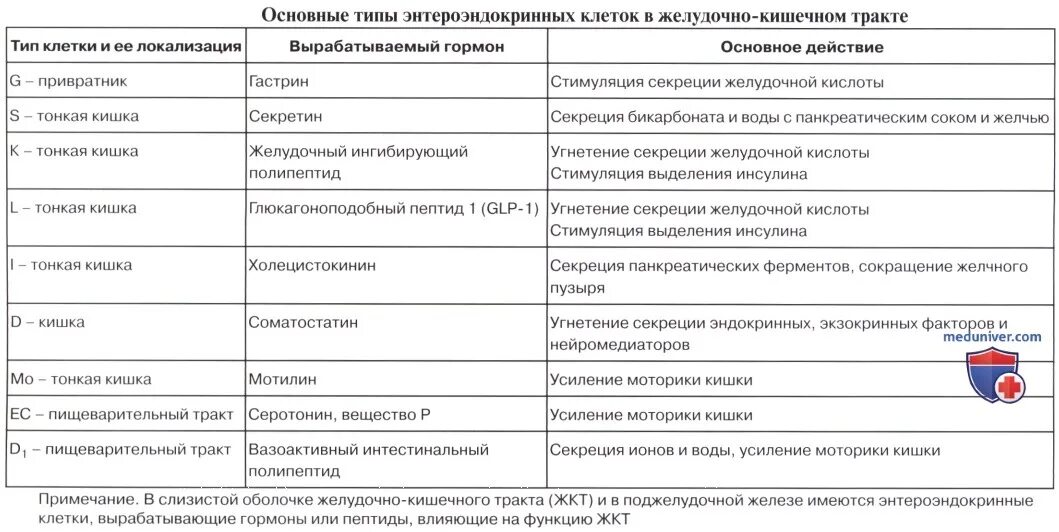 Таблица по биологии 8 класс гормоны желез. Эндокринные железы и их гормоны и функции. Действие гормонов эндокринных желез таблица. Гормоны регулирующие функции эндокринных желез. Железы внутренней секреции и их гормоны и функции.