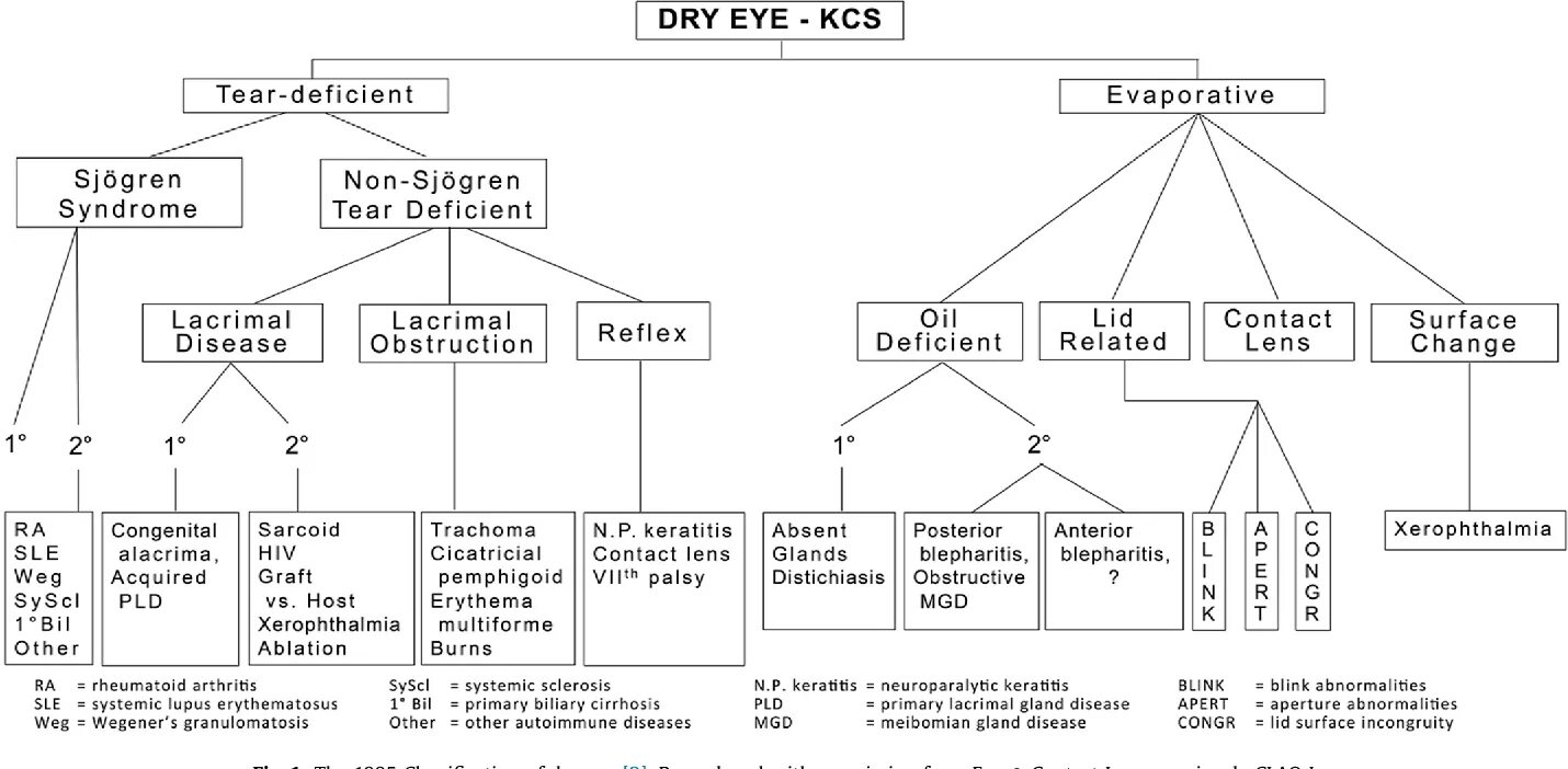 Классификация глаз. TFOS Dews classification. Dry classification. Dry Eye Workshop. Classification report