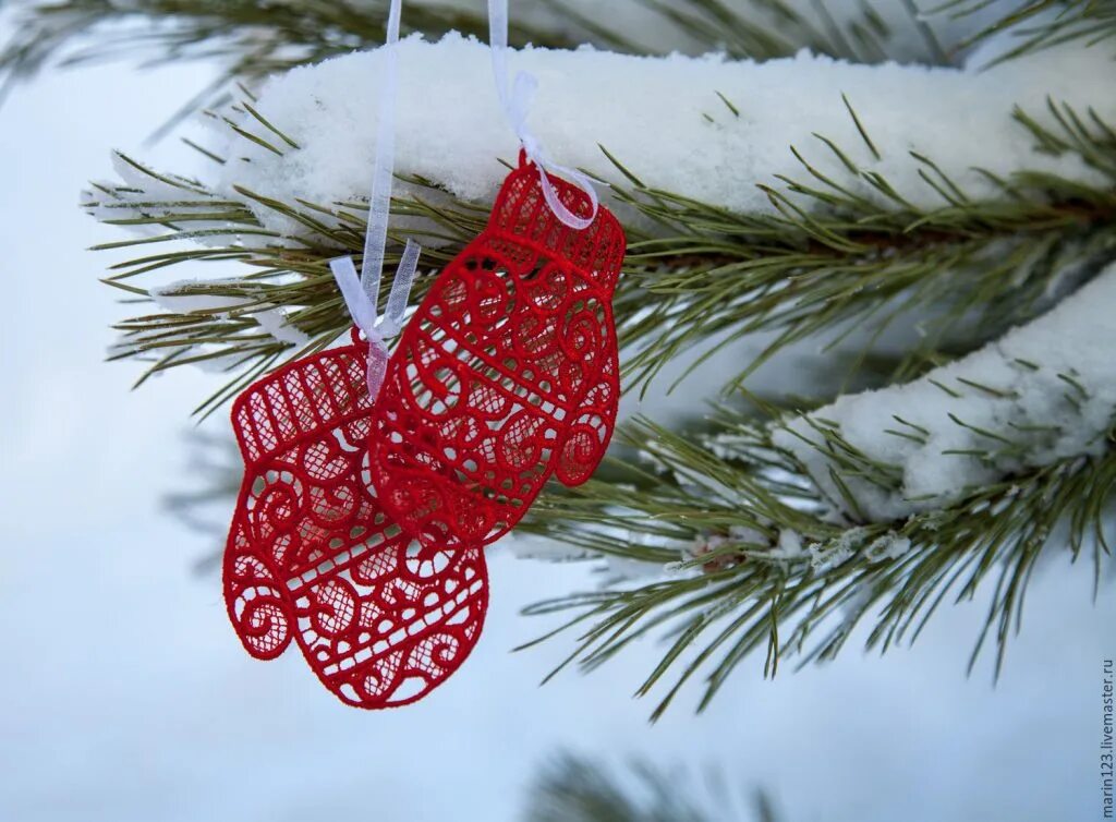 Красивая елка в лесу. Завтра день елочки. Новогодняя елка. Новогодняя елка. В новогоднем лесу.