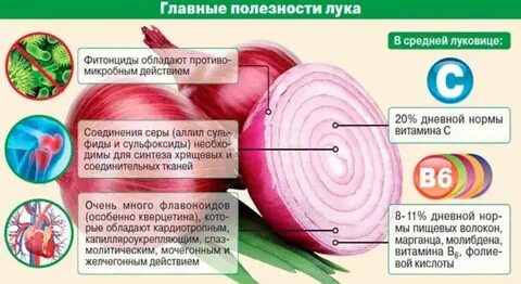 С чем можно есть лук