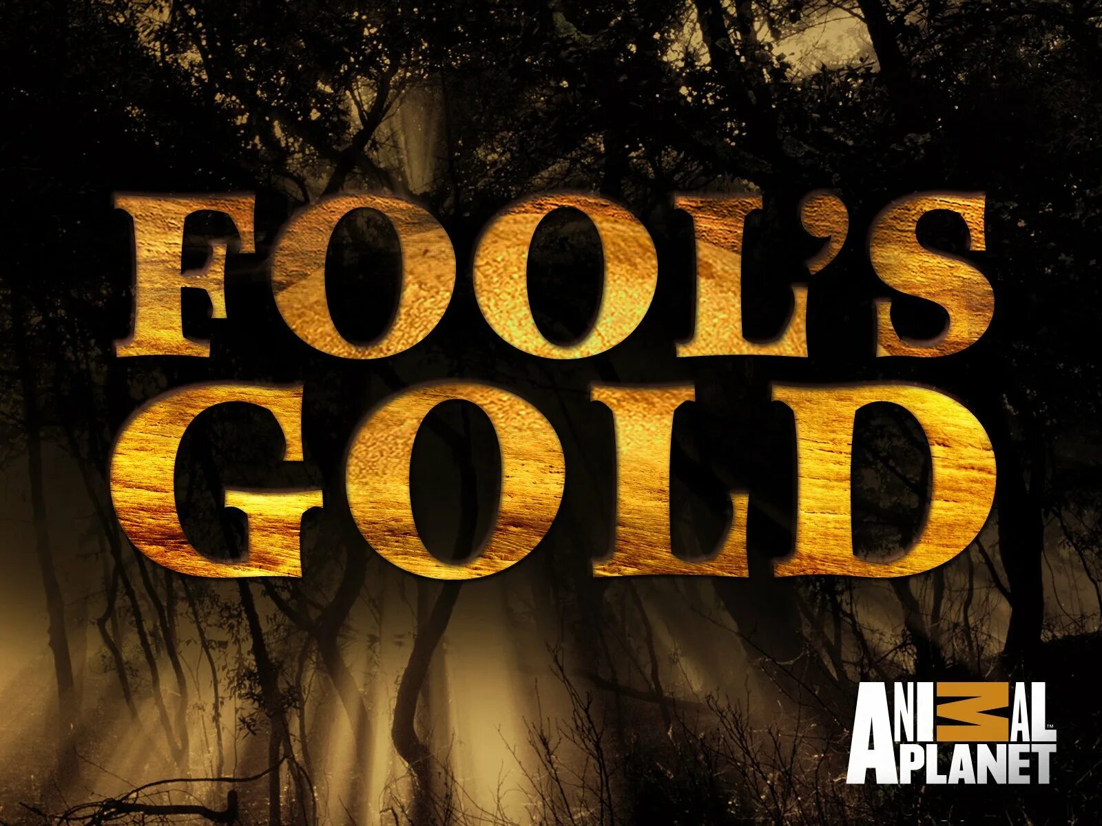 Fools gold цвет. Фонтан супер салют супер фонтан сс4851. Золото дураков фильм 2008 постер. Fools gold blox. Фонтан титан сс4844 на озон.