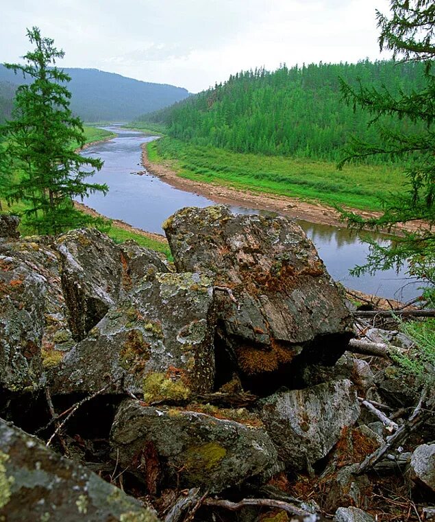 Заповедники якутии