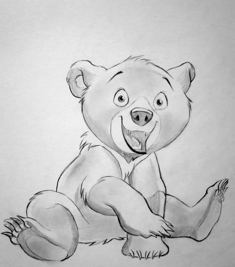 Медведь нарисовать карандашом