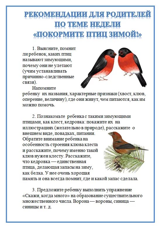 Беседа о зимующих птицах в старшей