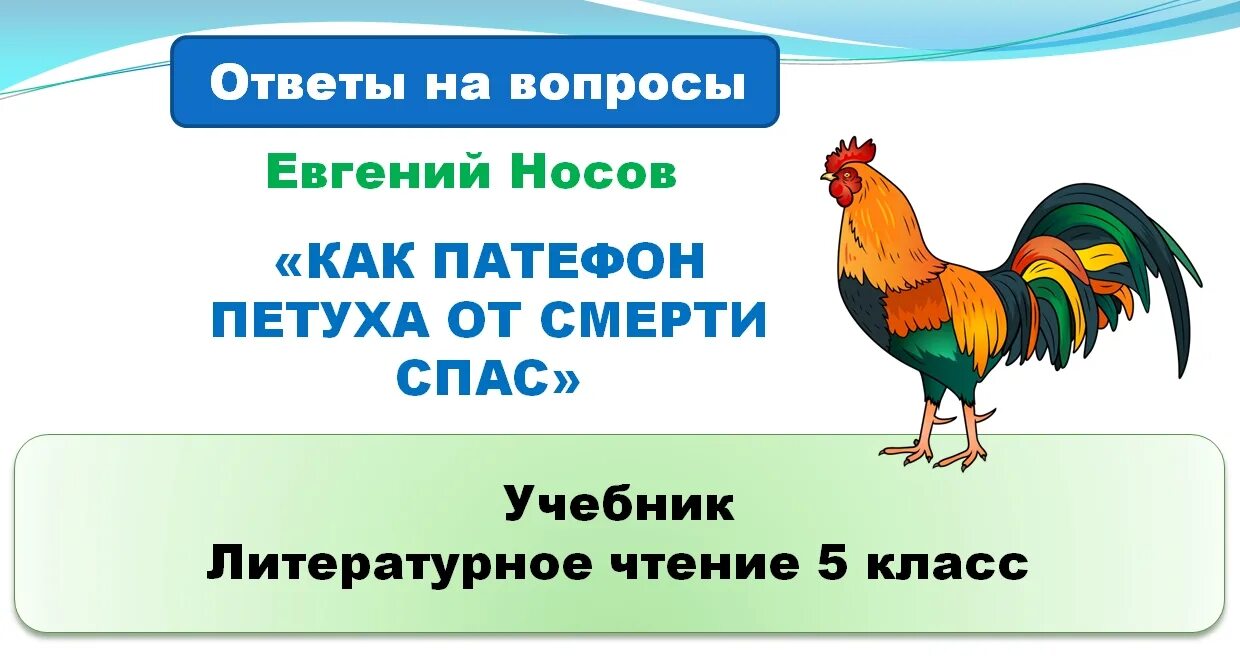 Е И Носов как патефон петуха от смерти спас. Как патефон петуха от смерти спас рисунок. Петух из рассказа как патефон петуха от смерти спас. Носов как патефон петуха от смерти спас тема. Рассказ как патефон петуха