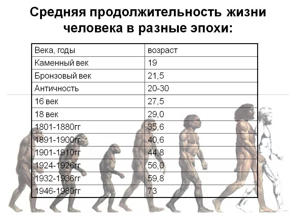 Средний срок жизни дуба составляет около пятьсот. Продолжительность жизни человека. Средняя Продолжительность жизни человека. Продолжительность жизни в разные века. Средняя Продолжительность жизни человека в разные эпохи.