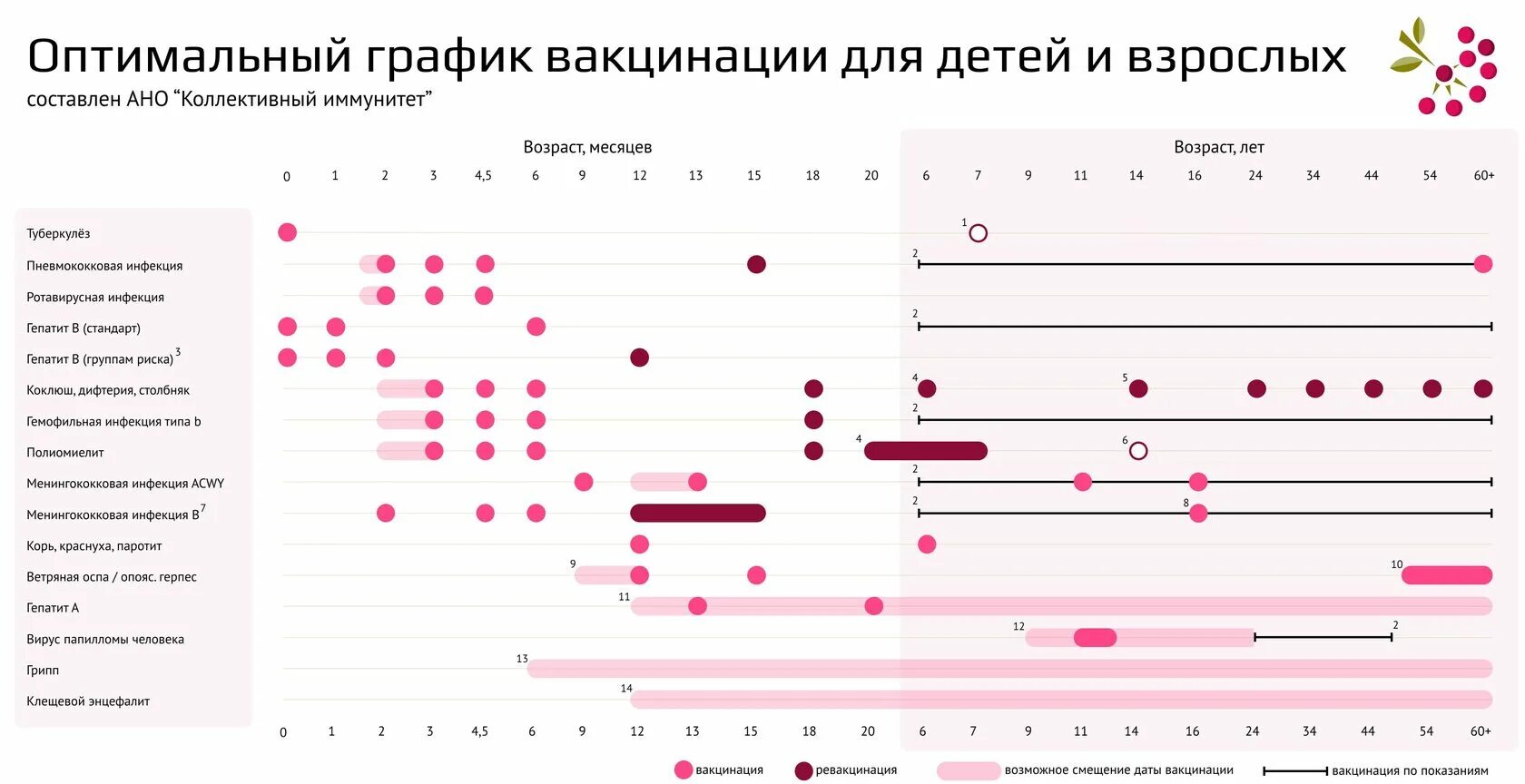 График привитых. Национальный график прививок для детей 2025. национальный календарь прививок 2025 взрослые.