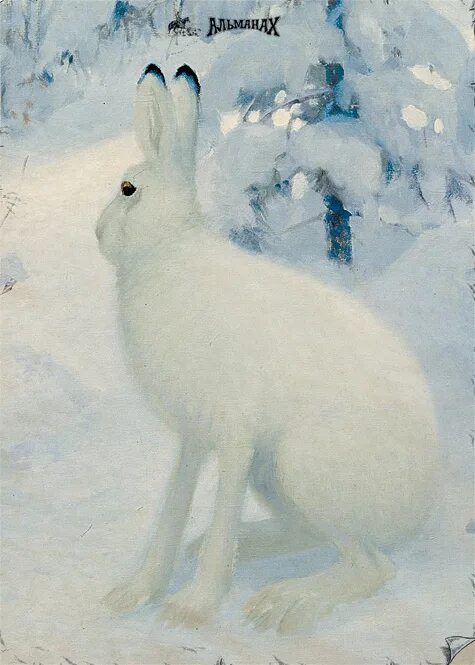 Заяц п. Заяц русак заяц русак. Заяц п. Картина зайцы автор п. Заяц в траве.