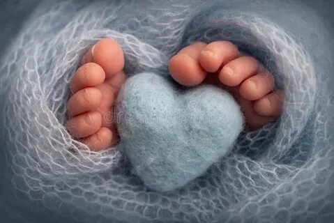 The tiny feet