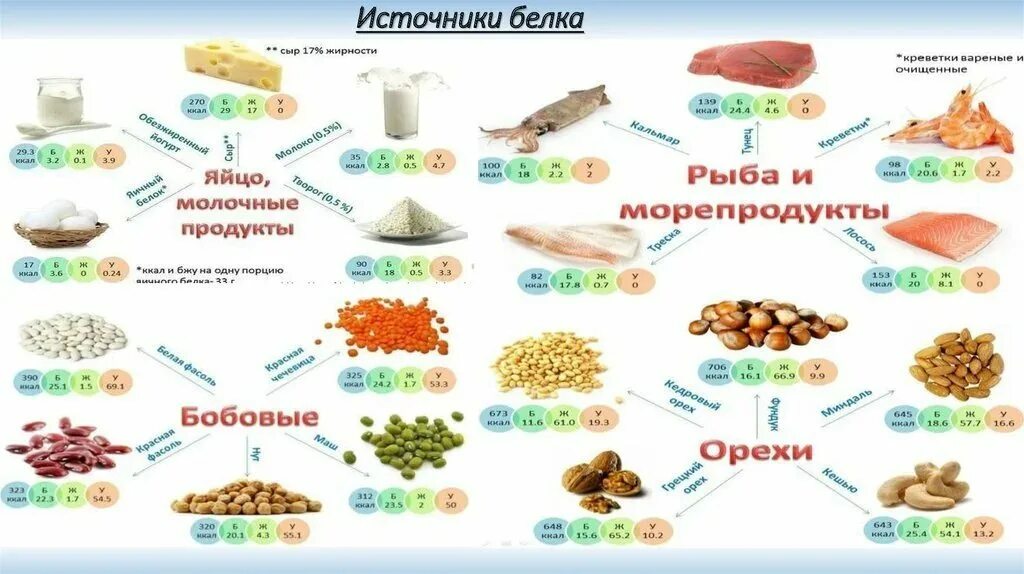 В чём содержится белок список продуктов. Как повысить белок. Продукты питания богатые белком таблица. Питание белки. Питание белки.