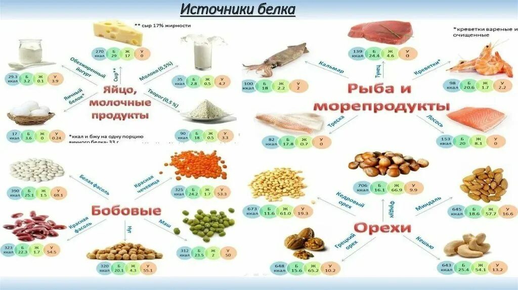 Источники белка в питании таблица. Основные пищевые источники белка. Перечислите продукты, богатые источники полноценного белка.. Продукты содержащие животные белки.