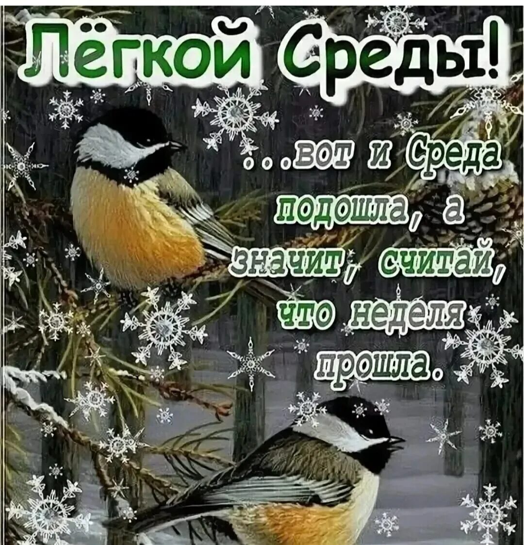 Доброго зимнего дня. Доброго зимнего дня и хорошего настроения. Открытки хорошего зимнего дня. Открытки с добрыми пожеланиями зимние.