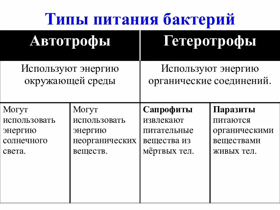 Тип питания бактериальной клетки. Процесс питания бактерий. Питание бактерий микробиология кратко. 3 типа питания бактерий. Типы питания бактерий микробиология схема.