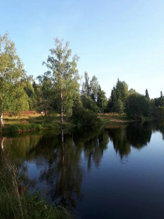 Погода вельево солнечногорского. Вельево. Снт 50 лет победы вельево. Погода вельево солнечногорского. Погода вельево солнечногорского.