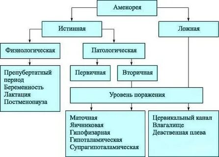Аменорея это у женщин