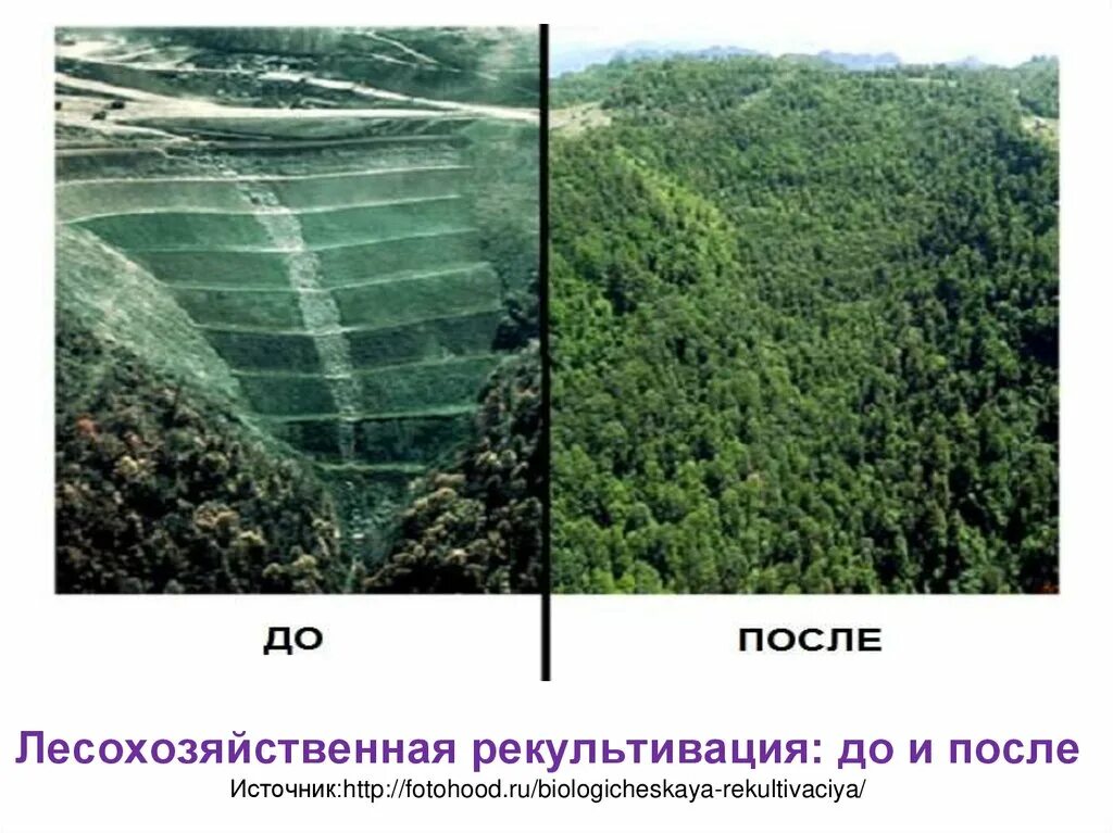 Лесохозяйственная рекультивация. Рекультивация земель до и после. Рекультивация ландшафтов. Биологическая рекультивация.