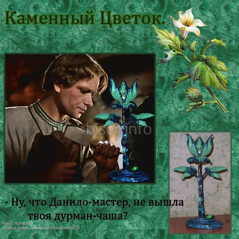 Каменный цветок фото - DelaDom.ru