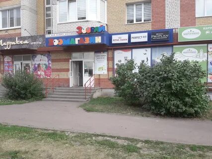 Зоомагазин тамбов