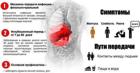 Механизм передачи гепатита с