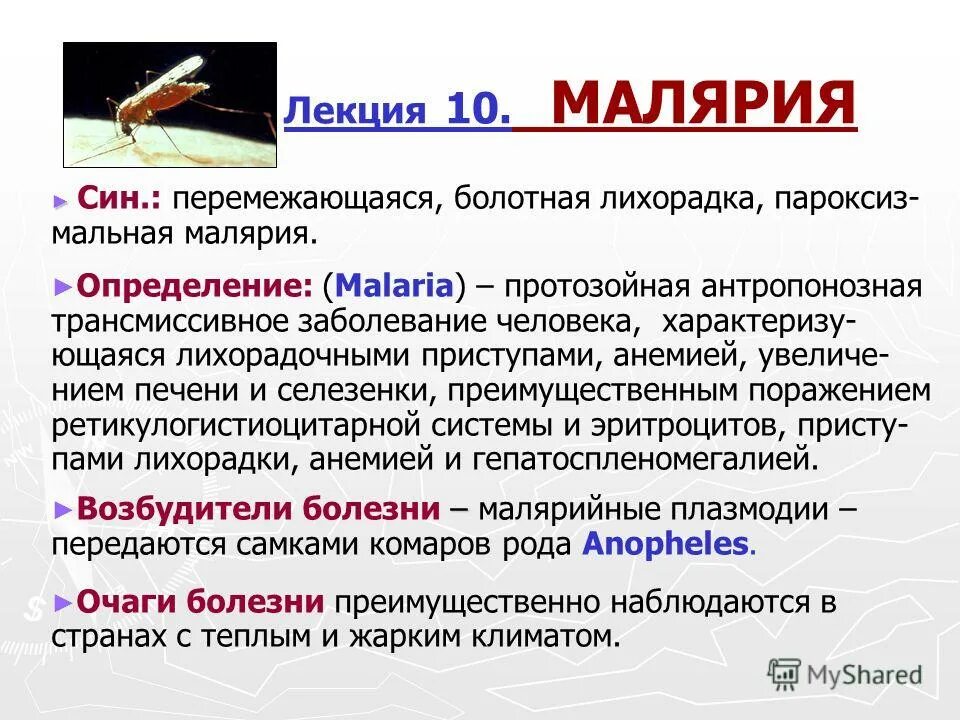 болотная лихорадка. малярия инкубационный период. малярийный плазмодий заболевание. болотная лихорадка. малярия профилактика заболевания.