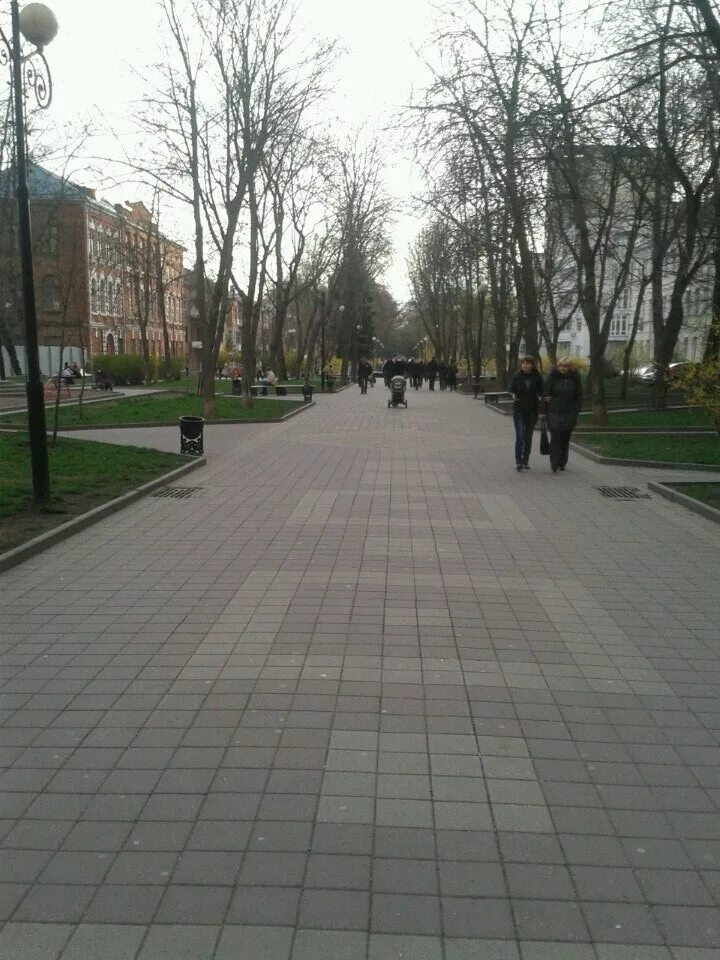 пушкинский бульвар ростов. пушкинская 63 владивосток. пушкинский парк ростов на дону. памятник пушкина на пушкинской города ростова на дону. чистый город маз.