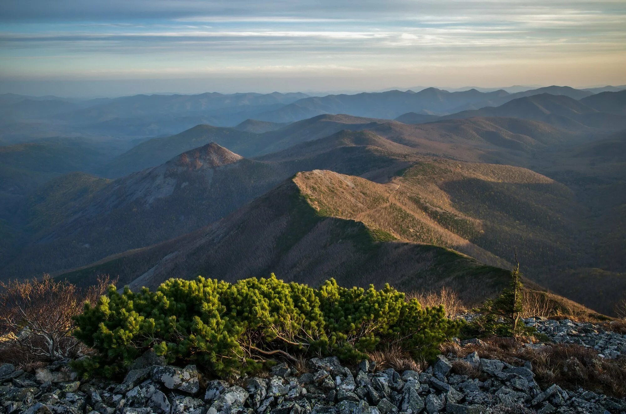 Сихотэ алинь. Центральныйц сихоте алинь. Приморье сихотэ алинский хребет. Гора высокая сихотэ-алинь. Центральный сихотэфлинь.