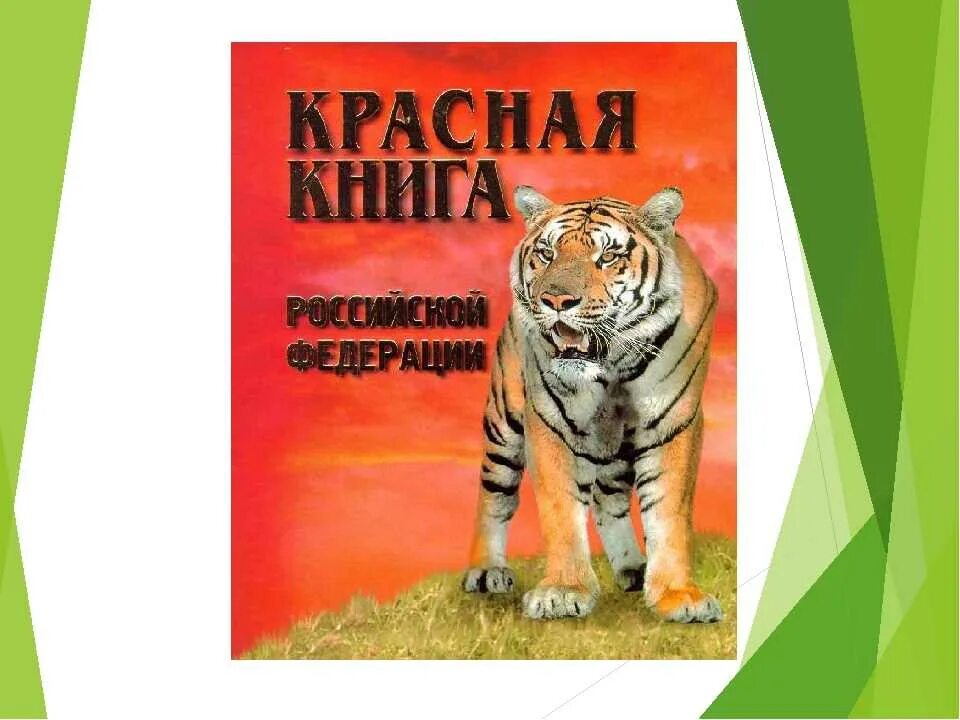 Проект 4 класс красная книга нашего края. Красная книга. Проект красная книга России. Красная книга обложка. Обложка красной книги России.