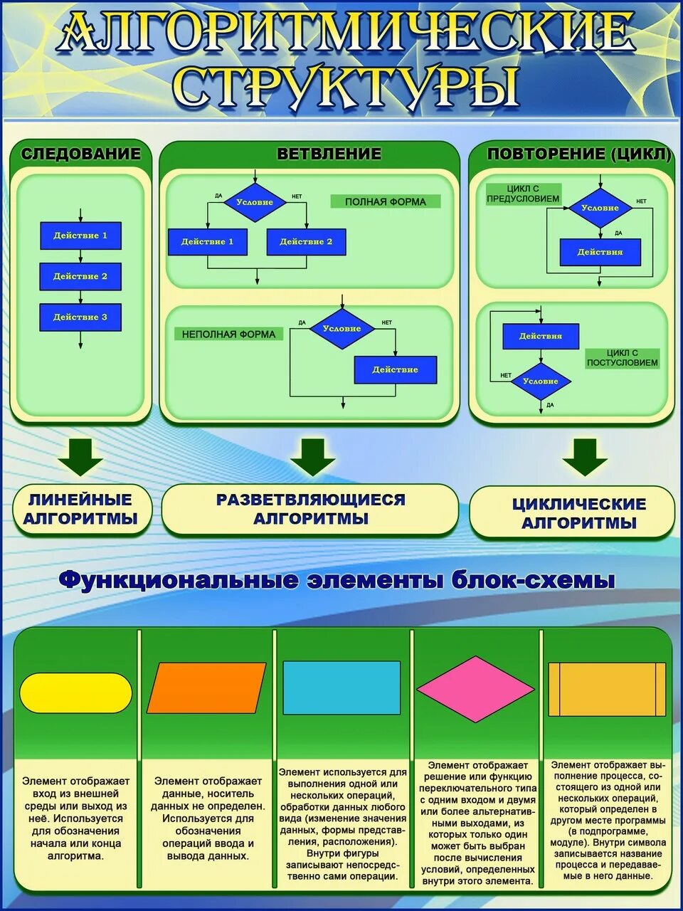 Инфографика по информатике. Алгоритмические структуры. алгоритмичные структуры. плакаты в кабинет информатики. алгоритмические структуры в информатике.