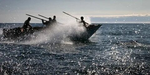 Морской зверобойный промысел народы